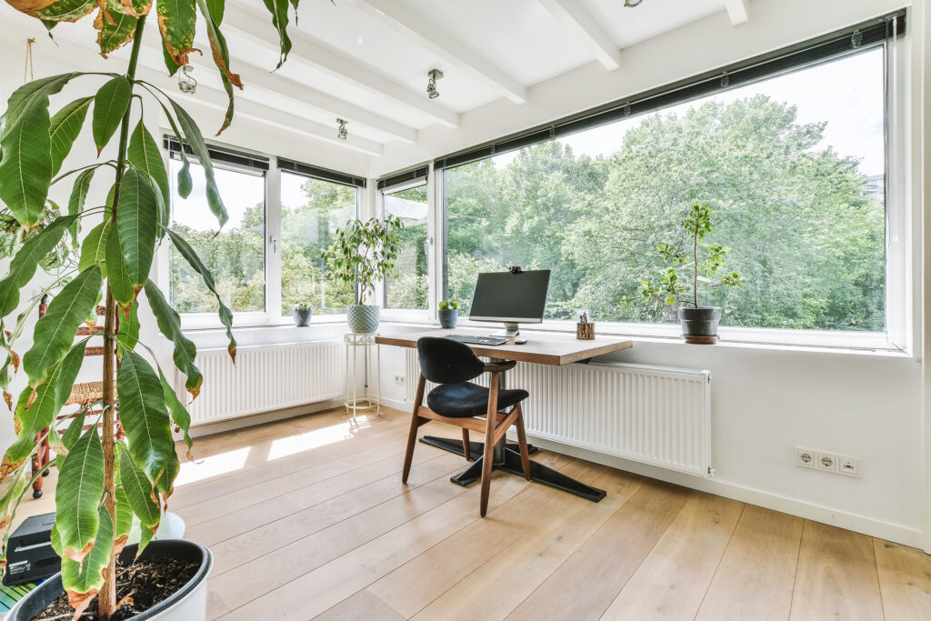 Home Office Setup Natural Light and Indoor Plants