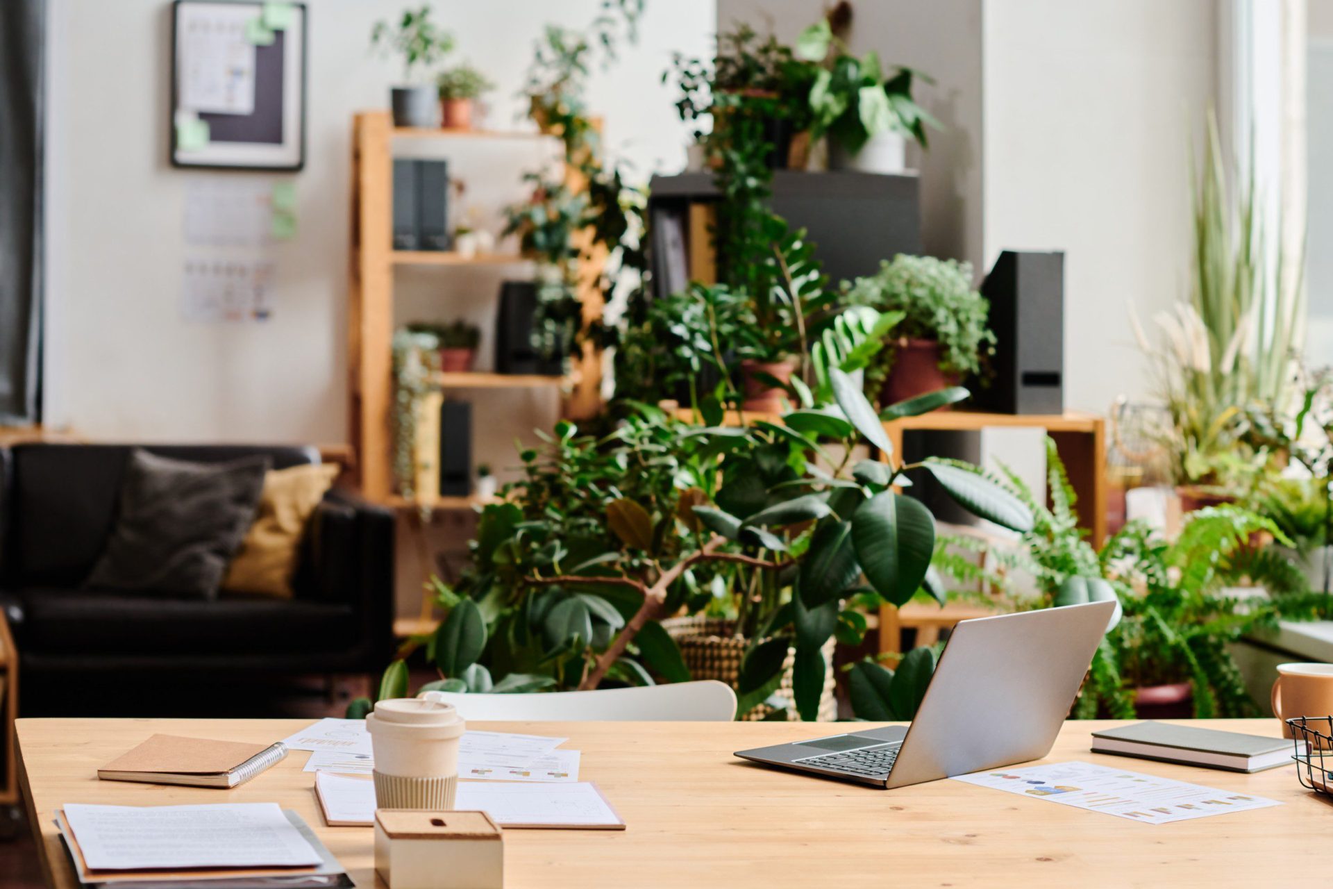 Biophilic Home Offices: Why Greenery Isn’t Just Decoration in 2026